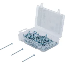 BGS Nägel-Sortiment | 200 g | 2,5 x 50 mm