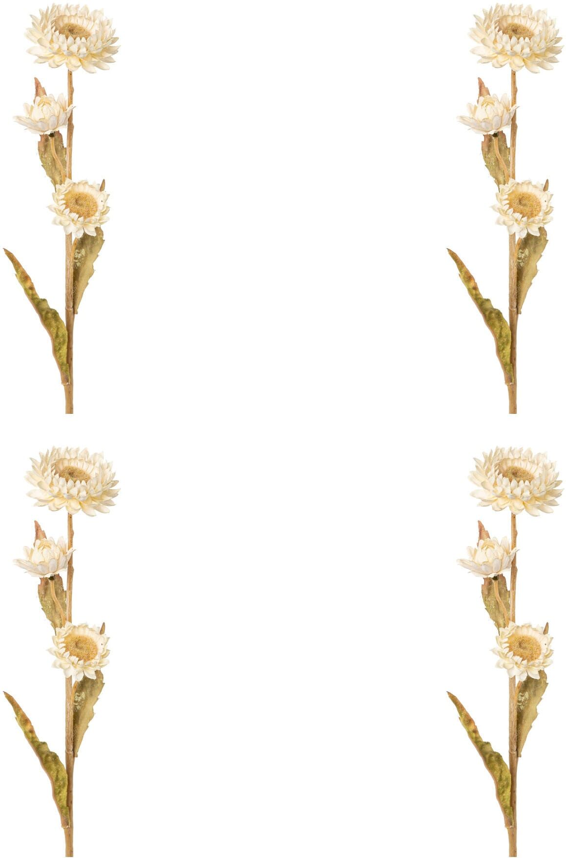 Kunstblume CREATIV GREEN "Strohblume", beige (creme), H:61cm, Obermaterial: 95% Polyethylen, 5% Polyester, Kunstpflanzen, Kunstblume