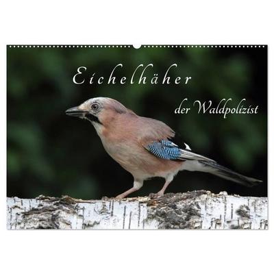 Eichelhäher der Waldpolizist (Wandkalender 2027 DIN A2 quer), CALVENDO Monatskalender
