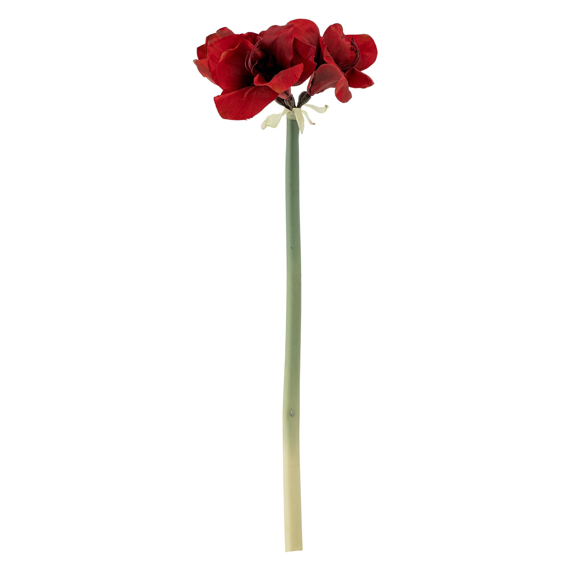 Bloomingville Amaryllis (74 cm) (5711173358465)