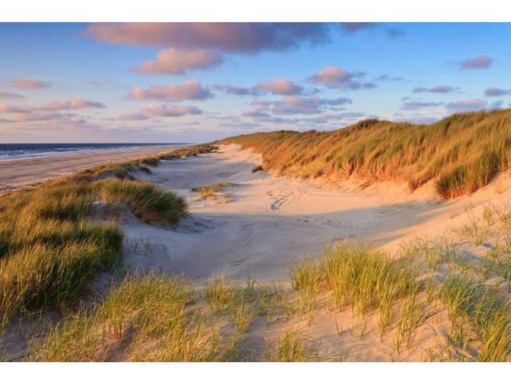 Fototapete PAPERMOON Dunes Sunset , bunt, B:2,5m L:1,86m, Vlies, Tapeten, Fototapete