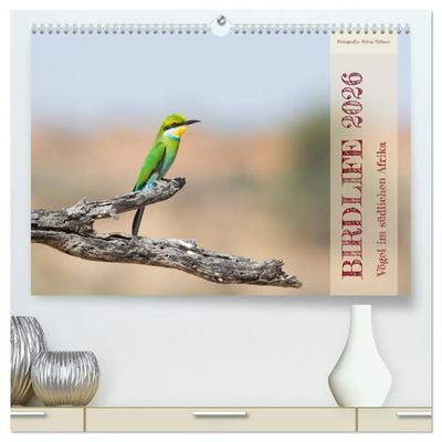 Birdlife - Vögel im südlichen Afrika (hochwertiger Premium Wandkalender 2026 DIN A2 quer), Kunstdruck in Hochglanz