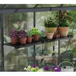 Palram - Canopia Gewächshaus Regal Signature | 2er Set | Anthrazit | 65x27 cm - Anthrazit