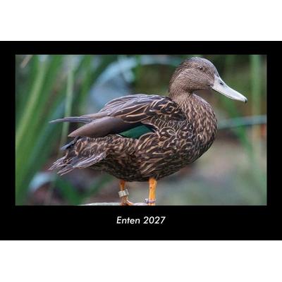 Enten 2027 Fotokalender DIN A3