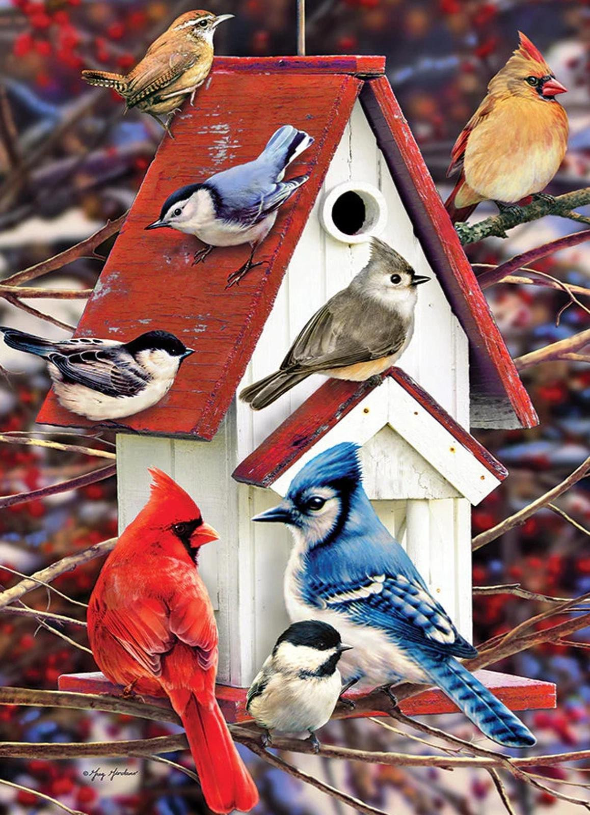 Cobble Hill Puzzel 500 stukjes Winterhuisje voor vogels