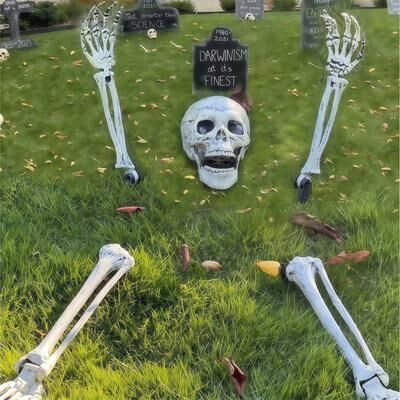 Evergreen Home Goods Spooky Yard Garden Halloween Decoration, Realistic Skeleton Arm Leg Bones, Halloween Skeleton Stake Decorations 1 Pair Of Arms