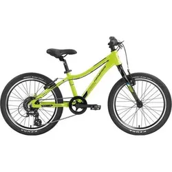 GENESIS Kinder Mountainbike Genesis Evolution JR20 Lite, Größe ONE SIZE in Grün Grün