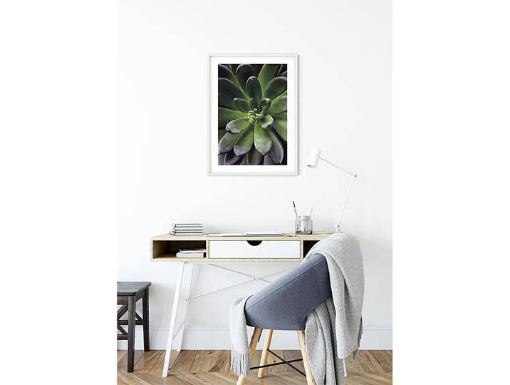 Tableau déco Succulent Single Papier photo avec surface satinée et haute résistance à la lumière Multicolore 50 x 70 x 0cm