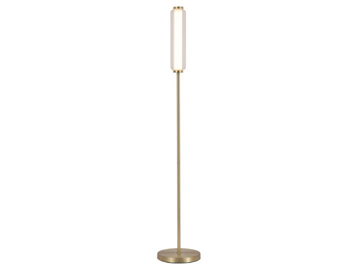 Lampadaire LED 22 x 127 x 22cm Laiton Acier brossé Acrylique Verre clair LED ule LED