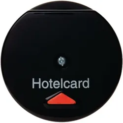 Berker Hotelcardschalter sw 164165