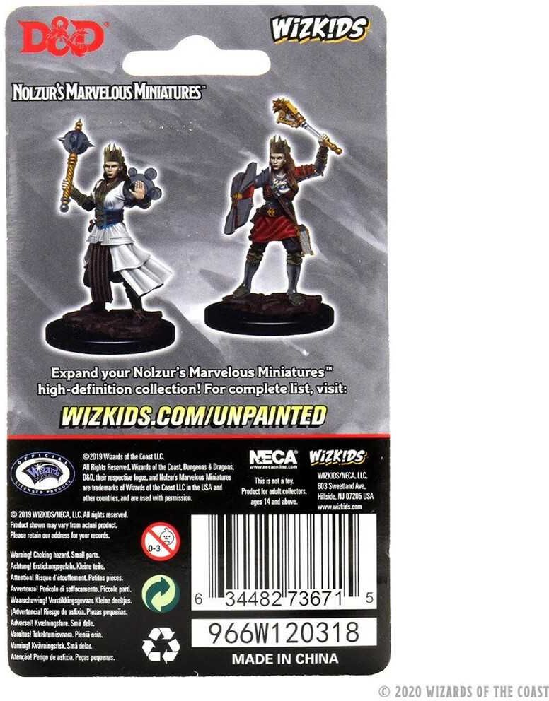 Wiz Kids LLC D;D Nolzur’s Marvelous Unpainted Miniatures: Female Human Cleric for Dungeons & Dragons