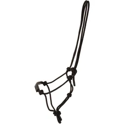 Kentucky Horsewear, Halfter