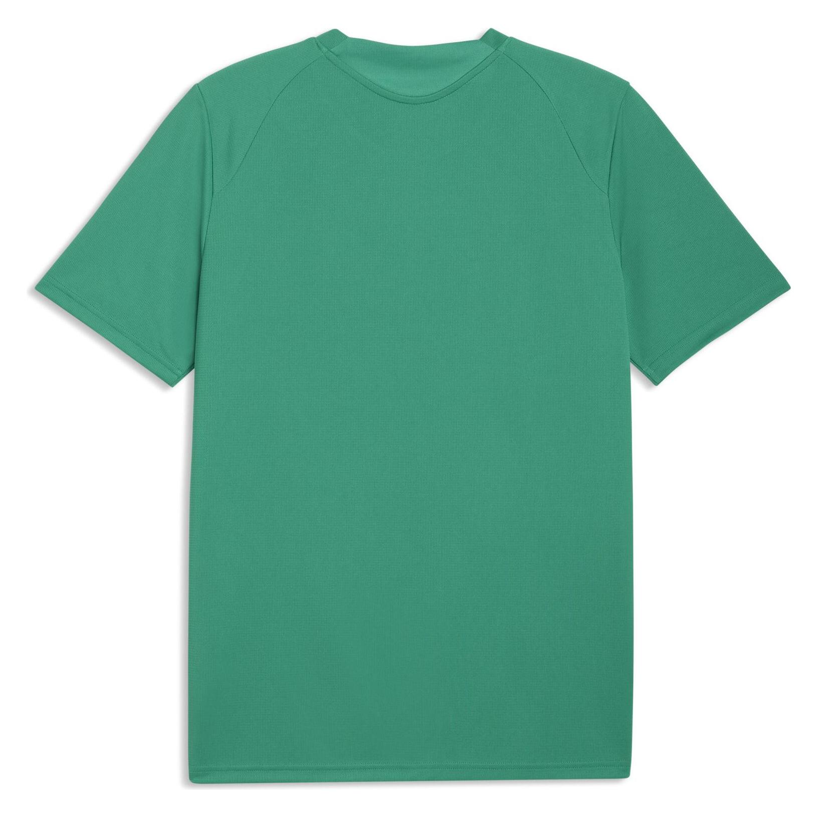 Puma teamFINAL26 Training Jersey (L) (659675)