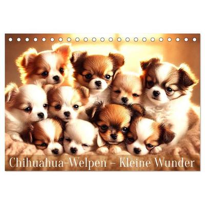 Chihuahua-Welpen – Kleine Wunder (Tischkalender 2027 DIN A5 quer), CALVENDO Monatskalender