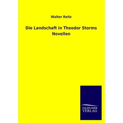 Die Landschaft in Theodor Storms Novellen, Taschenbuch von Walter Reitz, Salzwasser, 978-3-8460-3421-7
