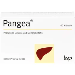 Pangea 60 ST