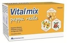 Montefarmaco Otc Spa Vitalmix Pappa Reale 10flac 10ml