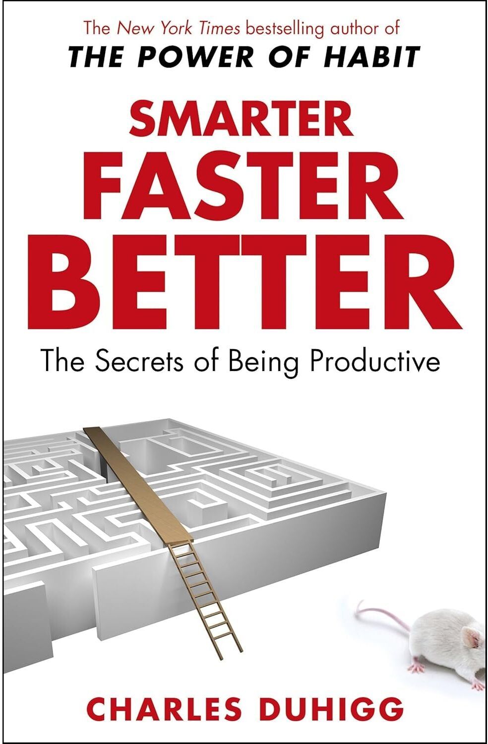 Random House Books Smarter Faster Better The Secrets Of Being Productive By Charles Duhigg