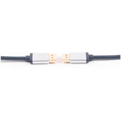 Shiverpeaks -PROFESSIONAL DisplayPort 1.4 Anschlusskabel, 5,0m (5 m), Videokabel, Blau