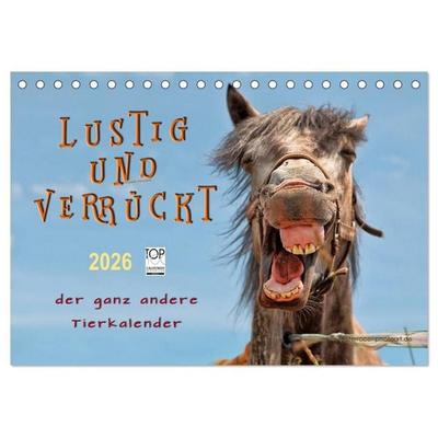 Lustig und verrückt - der ganz andere Tierkalender (Tischkalender 2026 DIN A5 quer), CALVENDO Monatskalender
