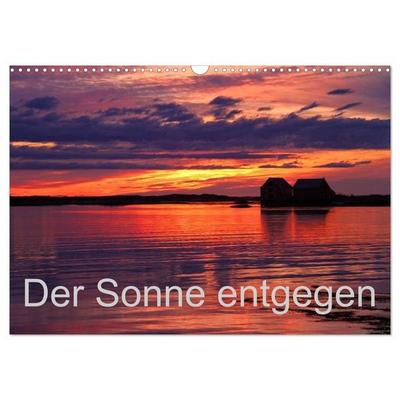 Der Sonne entgegen (Wandkalender 2026 DIN A3 quer), CALVENDO Monatskalender