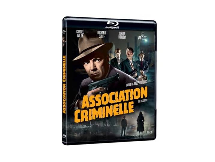 Association criminelle