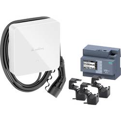 Spelsberg Wallbox Polar DLM Bundle Wallbox Typ 2 Mode 3 16 A Anzahl Anschlüsse 1 11 kW RFID 59181601