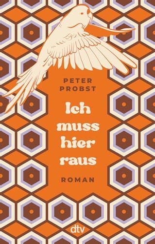 Peter Probst - Ich muss hier raus: Roman Band 2 der 70er-Jahre-Trilogie (Peter Gillitzer, Band 2) - Preis vom 11.10.2026 03:10:56 h