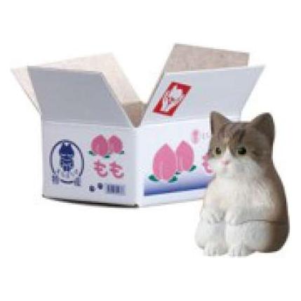 Bandai Gbp Still Waiting For You Cats W1 (67158748)
