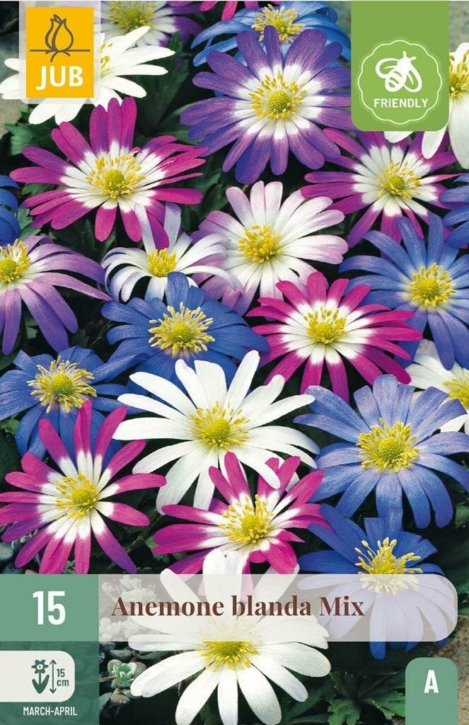 Anemone blanda mix Jub 15 bollen