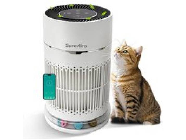 Purificateur DAir Pour Chats Avec Balle Interactive Filtre HEPA Anti-Poils Et Odeurs Sortie 360° Petites Pièces