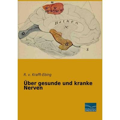 Über gesunde und kranke Nerven, Taschenbuch von R. v. Krafft-Ebing, Fachbuchverlag Dresden, 978-3-95692-420-0