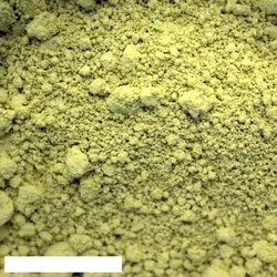 Kreidezeit Pigment Spinellgelb - 25 g Becher