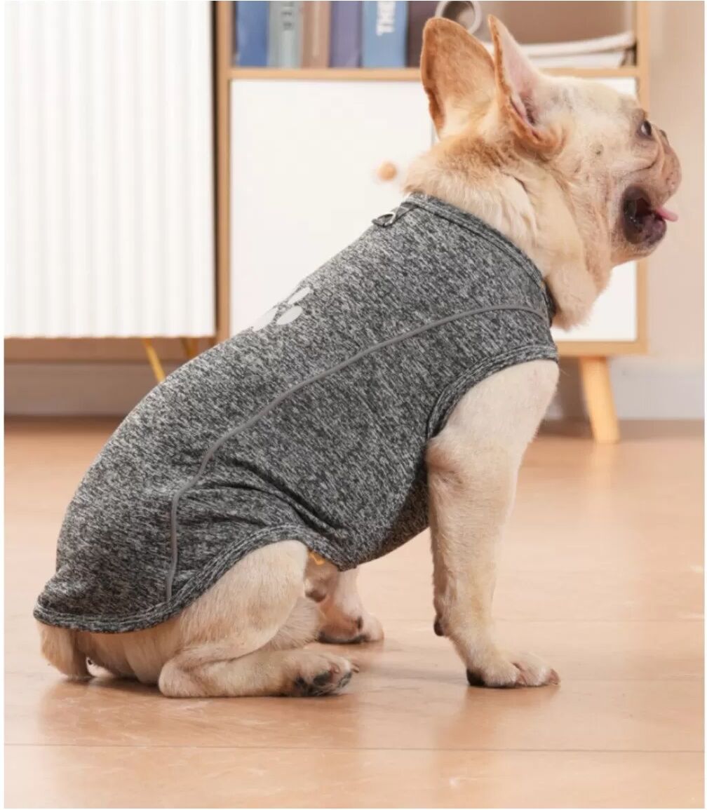INF Reflektierende, nachtleuchtende Polyester-Hundeweste mit D-Ring und Leinenöffnung – Ärmellose Sicherheitsweste zum S
