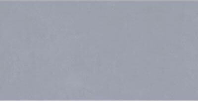 The Tile Life Foundry Concrete Porcelain Floor and Wall Tile