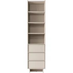 STANDREGAL Yasumi R50