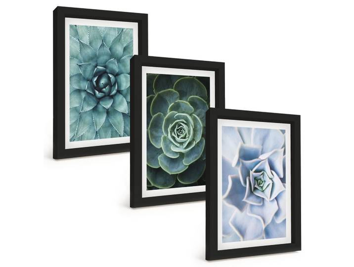 BILDER SET 3er Set - 20x30 cm Schwarzer Rahmen - Sukkulente Pflanzen grün türkis