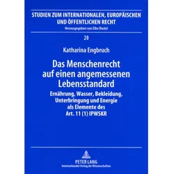 Das Menschenrecht auf einen angemessenen Lebensstandard, Fachbücher von Katharina Engbruch