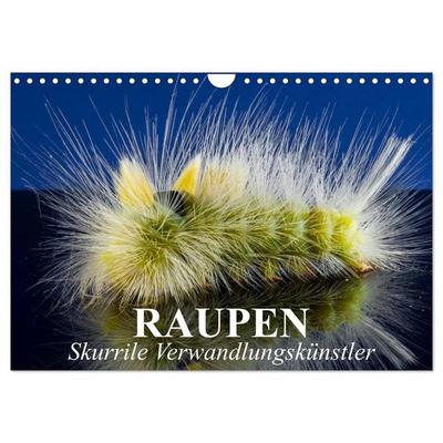 Raupen - Skurrile Verwandlungskünstler (Wandkalender 2027 DIN A4 quer), CALVENDO Monatskalender