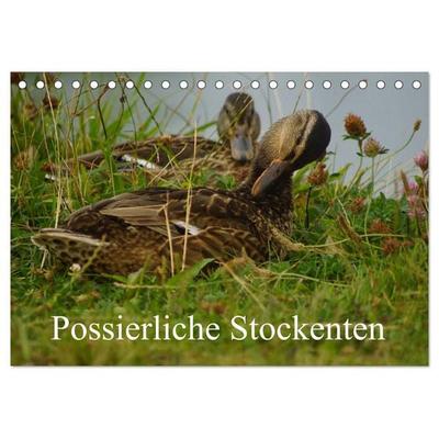 Possierliche Stockenten (Tischkalender 2026 DIN A5 quer), CALVENDO Monatskalender
