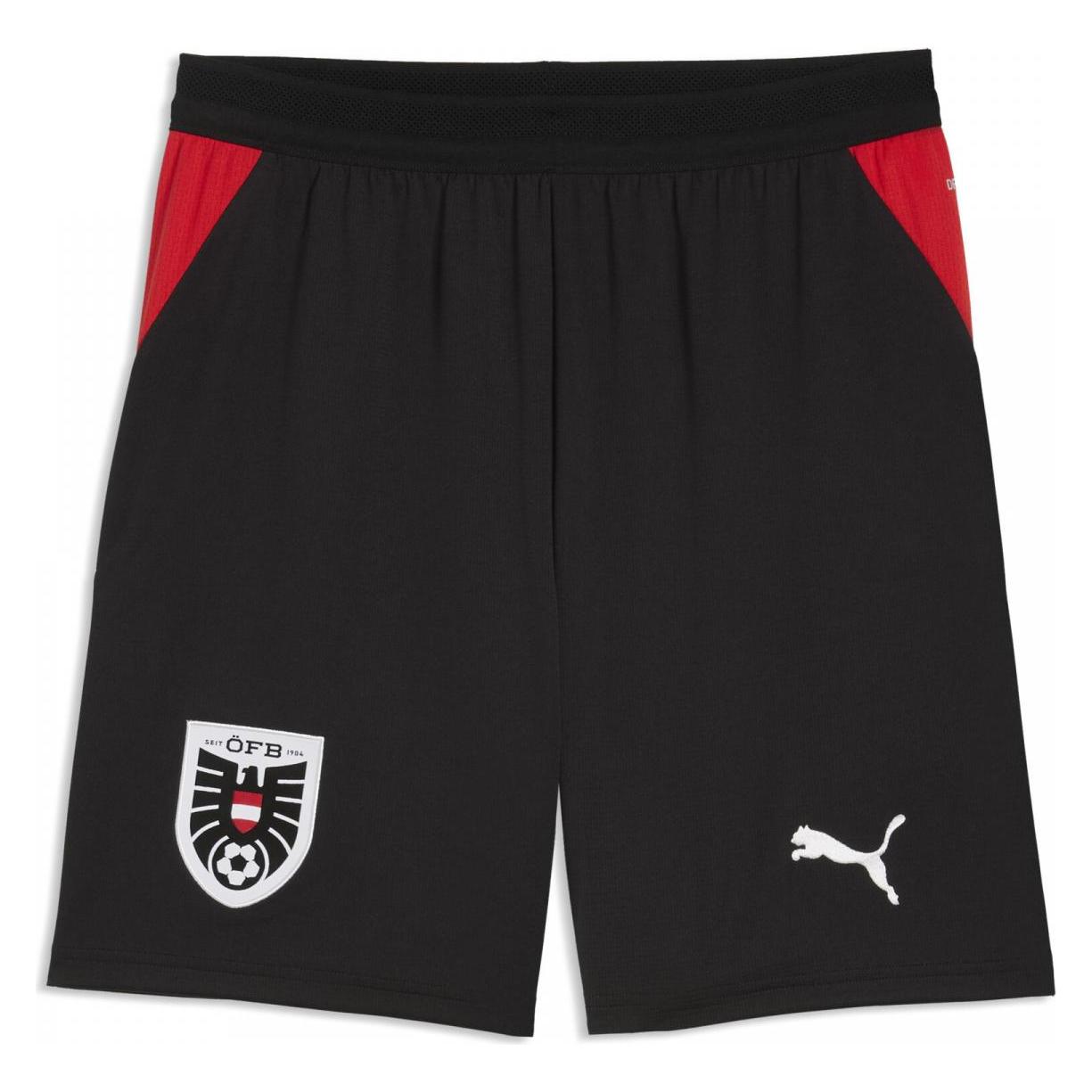 Puma ÖFB Shorts Replica (L) (783212)