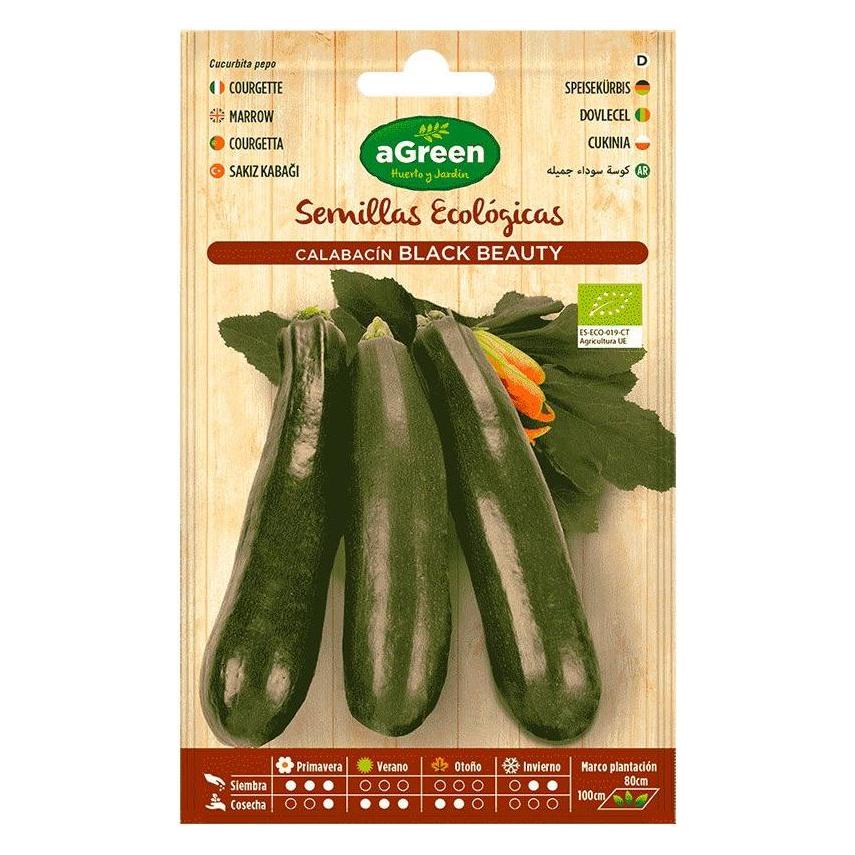 Agreen Seed envelope eco zucchini black beauty (Gemüsesamen) (49394569)