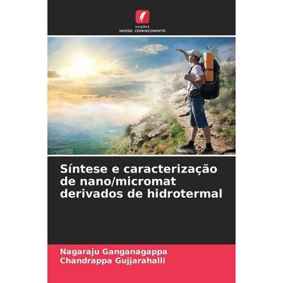 Síntese e caracterização de nano/micromat derivados de hidrotermal, Taschenbuch von Nagaraju Ganganagappa,Chandrappa Gujjarahalli, Edições Nosso