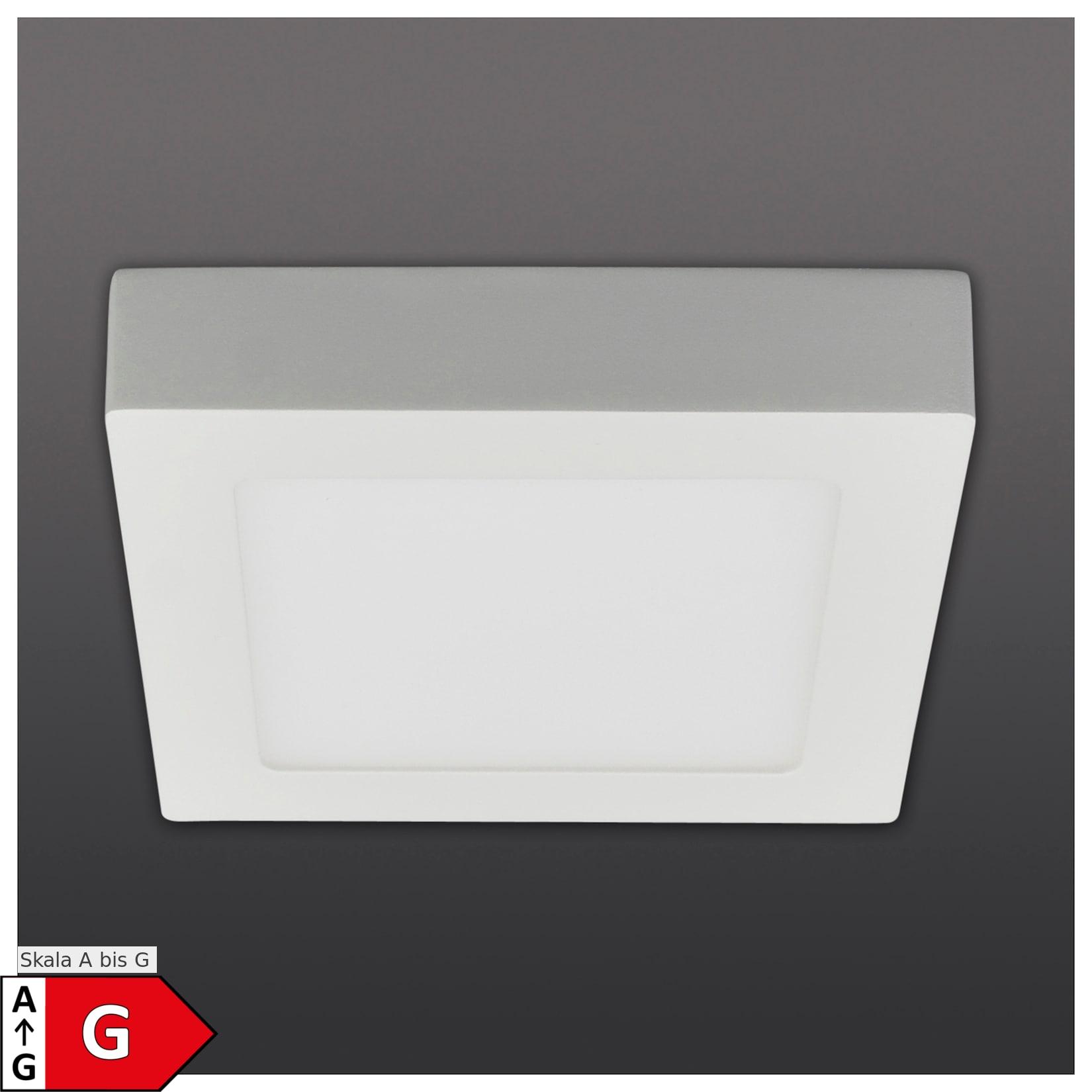 Näve LED Deckenleuchte "SIMPLEX" s:17cm