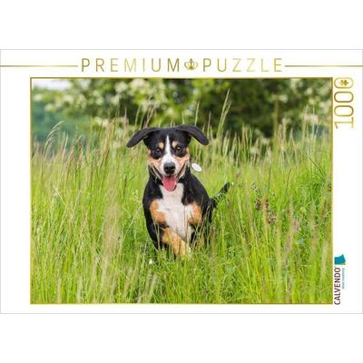 CALVENDO Puzzle Im hohen Gras | 1000 Teile Lege-Größe 64x48cm Foto-Puzzle für glückliche Stunden
