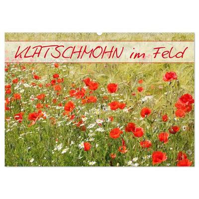 Klatschmohn im Feld (Wandkalender 2027 DIN A2 quer), CALVENDO Monatskalender