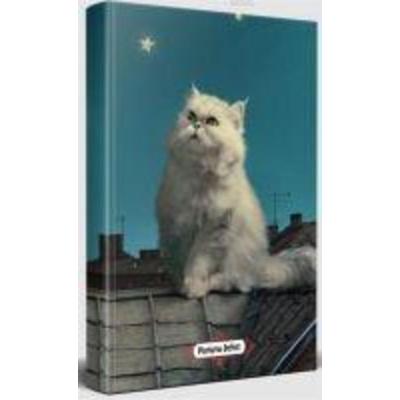 Pamuk - Planlama Defteri, Taschenbuch von Kolektif, Halk Kitabevi