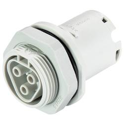 Wieland Electric 96.031.1053.0 Geräteanschluss