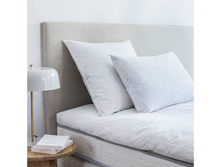 Oreiller plumes en lot de 2 - Blancheporte