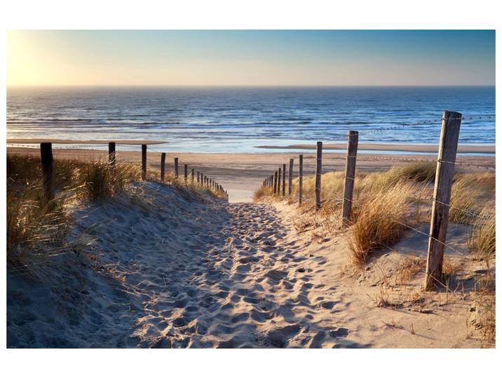 Alubild Sandweg Zum Meer image LAND